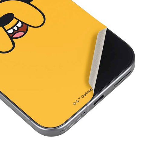 Adult Swim Adventure Time Jake The Dog Google Pixel 9 Skin